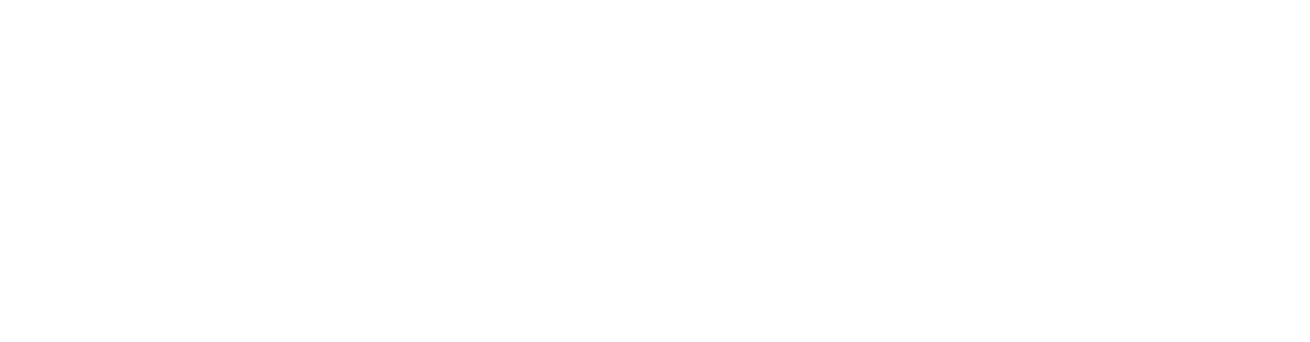 Scuba Diving TEXAS (WHITE)